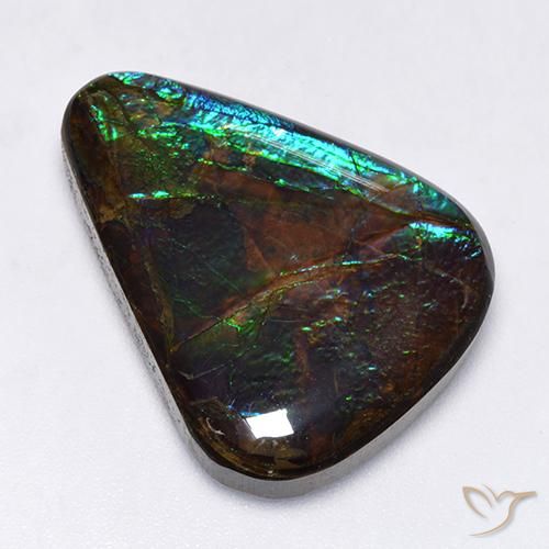17.25ct Naturale Multicolore Ammolite, Taglio a fantasia, Opaco