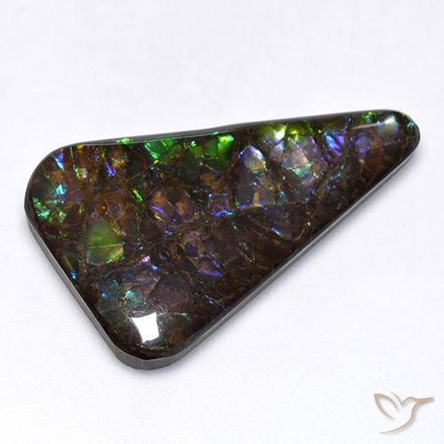 17.65ct Naturale Multicolore Ammolite, Taglio a fantasia, Opaco