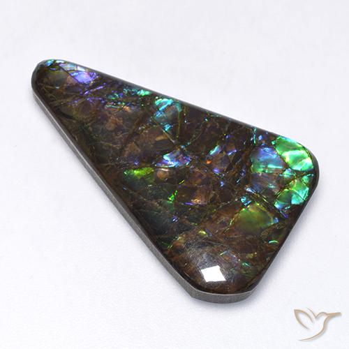 Ammolite Multicolore naturale da 17.65 ct, Taglio a fantasia, Opaco