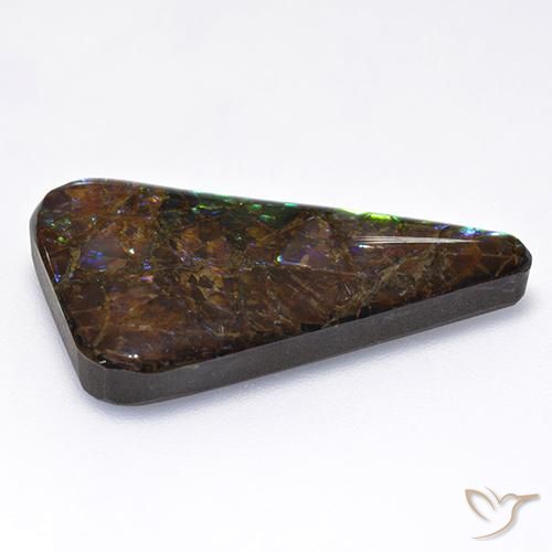 Ammolite Multicolore naturale da 17.65 ct, Taglio a fantasia, Opaco