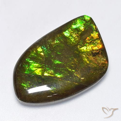 18.89ct Naturale Multicolore Ammolite, Taglio a fantasia, Opaco
