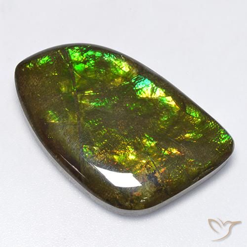 Ammolite Multicolore naturale da 18.89 ct, Taglio a fantasia, Opaco