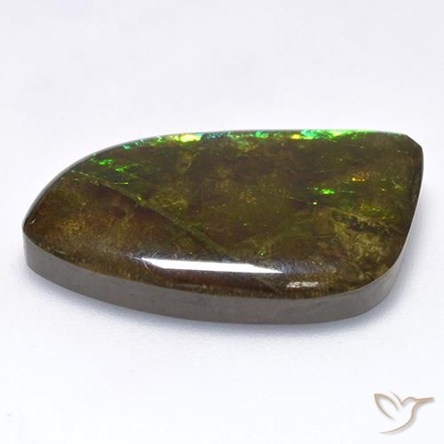 Ammolite Multicolore naturale da 18.89 ct, Taglio a fantasia, Opaco