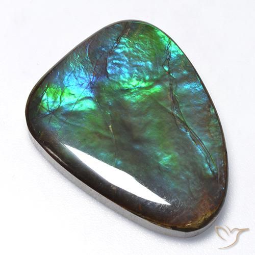 25.47ct Naturale Multicolore Ammolite, Taglio a fantasia, Opaco