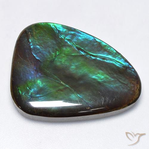 Ammolite Multicolore naturale da 25.47 ct, Taglio a fantasia, Opaco