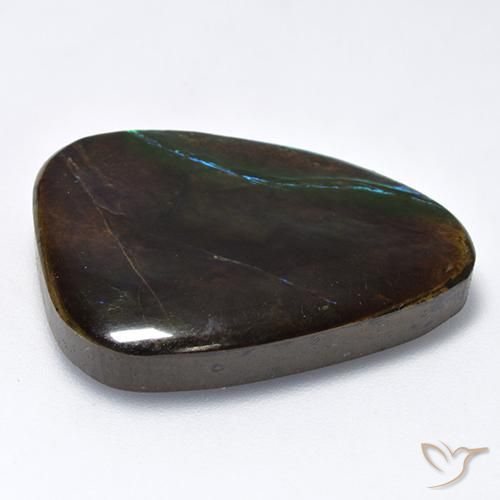 Ammolite Multicolore naturale da 25.47 ct, Taglio a fantasia, Opaco