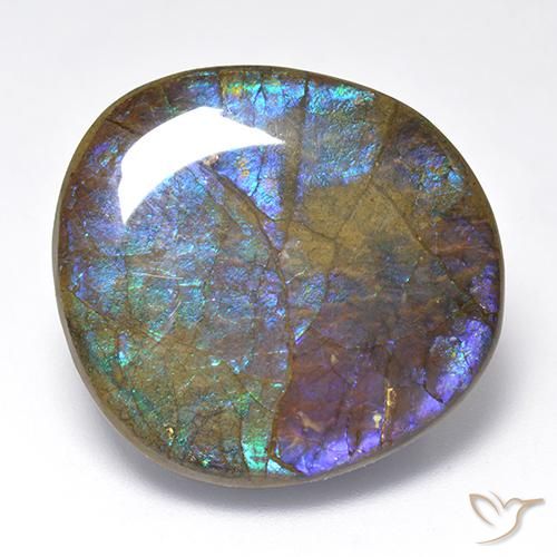 Ammolite Multicolore naturale da 23.02 ct, Taglio a fantasia, Opaco
