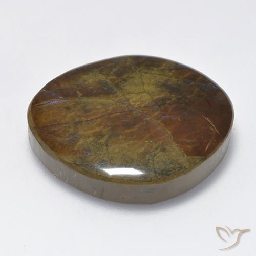 Ammolite Multicolore naturale da 23.02 ct, Taglio a fantasia, Opaco