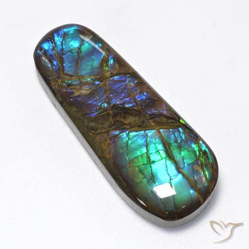 16.62ct Naturale Multicolore Ammolite, Taglio a fantasia, Opaco
