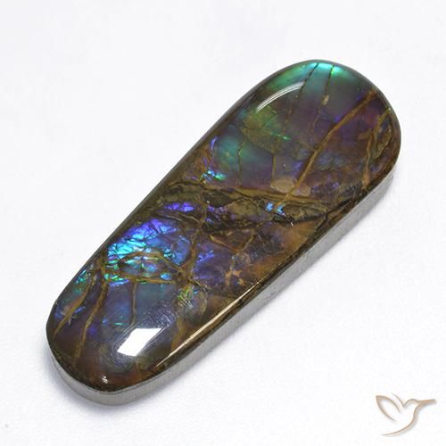 Ammolite Multicolore naturale da 16.62 ct, Taglio a fantasia, Opaco
