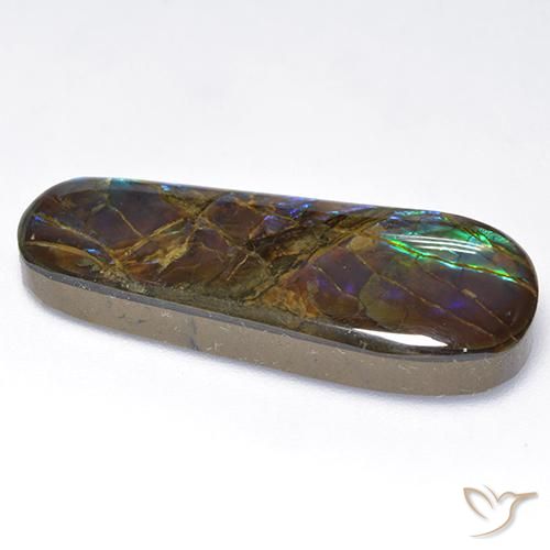 Ammolite Multicolore naturale da 16.62 ct, Taglio a fantasia, Opaco