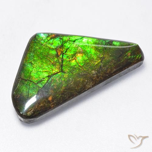 10.43ct Naturale Multicolore Ammolite, Taglio a fantasia, Opaco