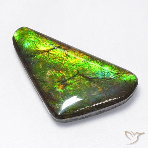 Ammolite Multicolore naturale da 10.43 ct, Taglio a fantasia, Opaco