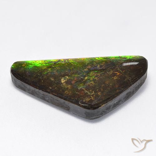Ammolite Multicolore naturale da 10.43 ct, Taglio a fantasia, Opaco