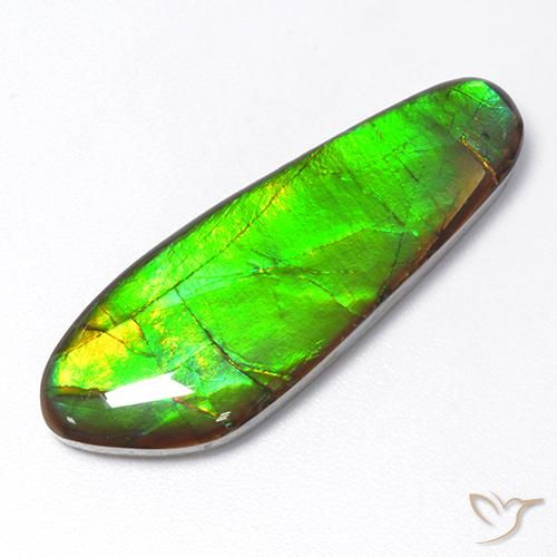 17.48ct Naturale Multicolore Ammolite, Taglio a fantasia, Opaco