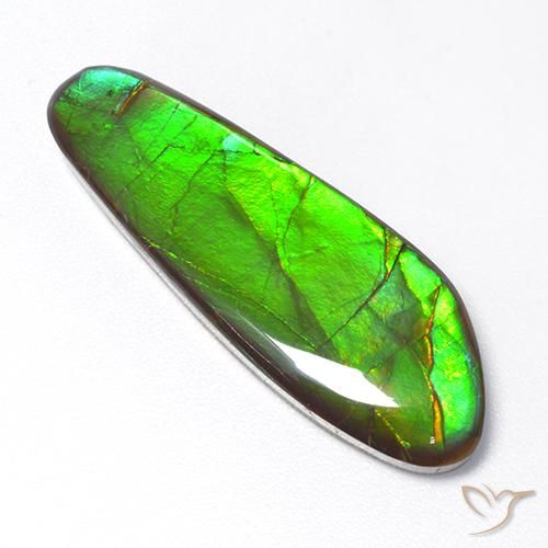 Ammolite Multicolore naturale da 17.48 ct, Taglio a fantasia, Opaco