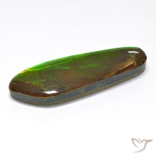 Ammolite Multicolore naturale da 17.48 ct, Taglio a fantasia, Opaco