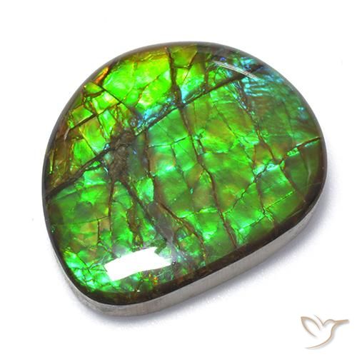 18.62ct Naturale Multicolore Ammolite, Taglio a fantasia, Opaco