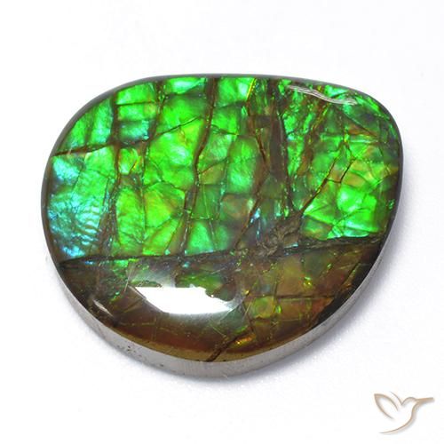 Ammolite Multicolore naturale da 18.62 ct, Taglio a fantasia, Opaco