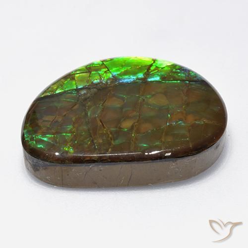 Ammolite Multicolore naturale da 18.62 ct, Taglio a fantasia, Opaco