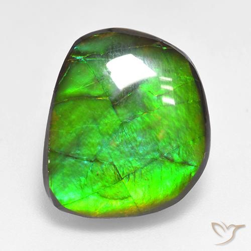 10.59ct Naturale Multicolore Ammolite, Taglio a fantasia, Opaco