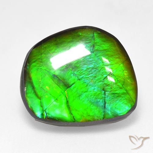 Ammolite Multicolore naturale da 10.59 ct, Taglio a fantasia, Opaco