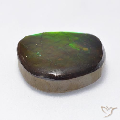 Ammolite Multicolore naturale da 10.59 ct, Taglio a fantasia, Opaco
