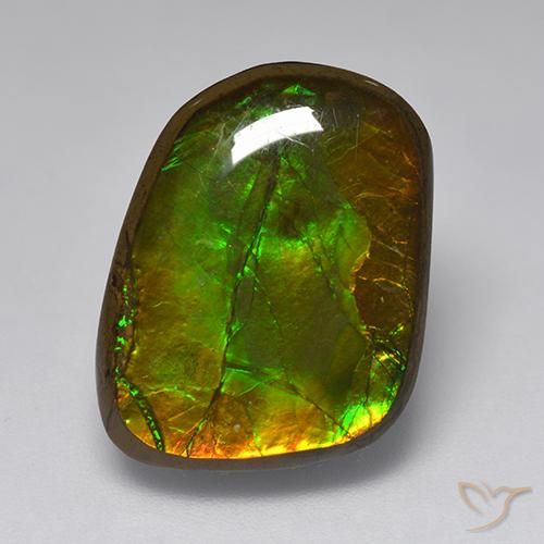 10.83ct Naturale Multicolore Ammolite, Taglio a fantasia, Opaco