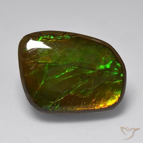 Ammolite Multicolore naturale da 10.83 ct, Taglio a fantasia, Opaco