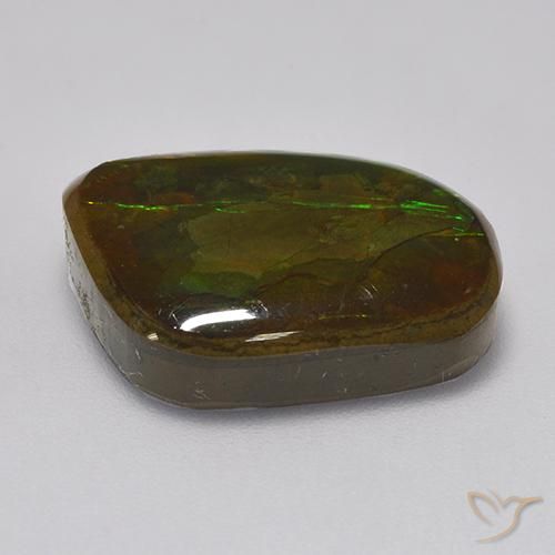 Ammolite Multicolore naturale da 10.83 ct, Taglio a fantasia, Opaco