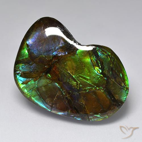 23.10ct Naturale Multicolore Ammolite, Taglio a fantasia, Opaco