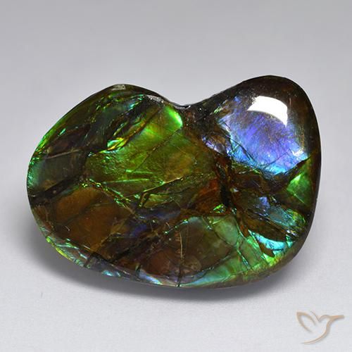 Ammolite Multicolore naturale da 23.10 ct, Taglio a fantasia, Opaco