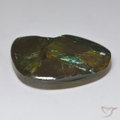 Ammolite Multicolore naturale da 23.10 ct, Taglio a fantasia, Opaco