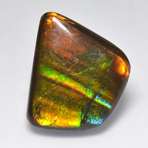 Ammolite Multicolore naturale da 11.08 ct, Forma fantasia, Opaco