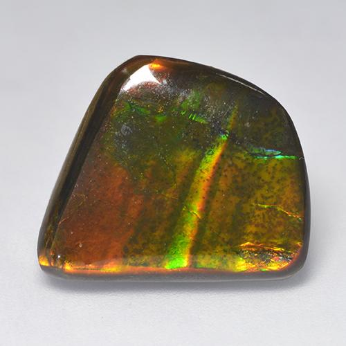 Ammolite Multicolore naturale da 11.08 ct, Forma fantasia, Opaco