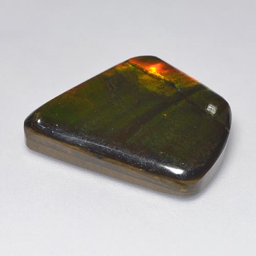 Ammolite Multicolore naturale da 11.08 ct, Forma fantasia, Opaco