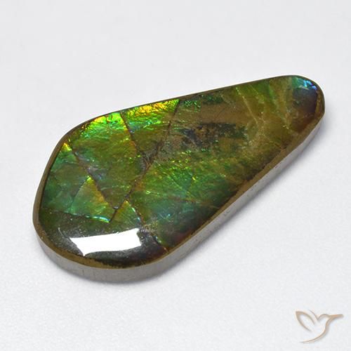 15.47ct Naturale Multicolore Ammolite, Taglio a fantasia, Opaco