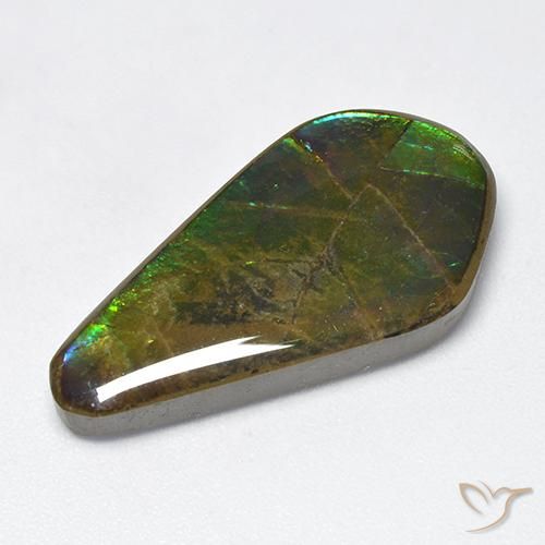 Ammolite Multicolore naturale da 15.47 ct, Taglio a fantasia, Opaco