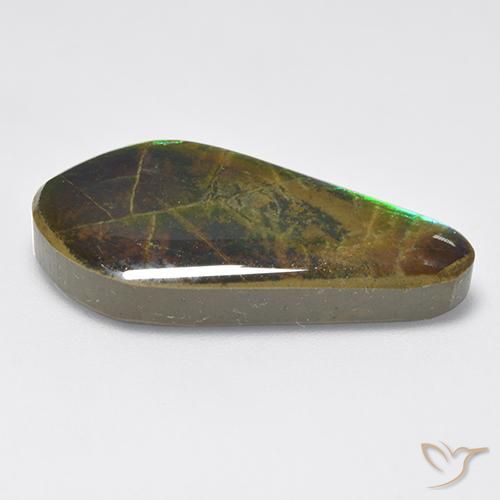Ammolite Multicolore naturale da 15.47 ct, Taglio a fantasia, Opaco