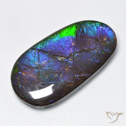16.63ct Naturale Multicolore Ammolite, Taglio a fantasia, Opaco