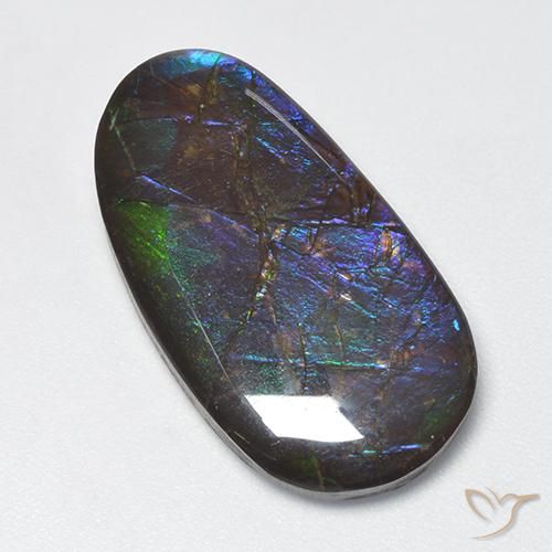 Ammolite Multicolore naturale da 16.63 ct, Taglio a fantasia, Opaco
