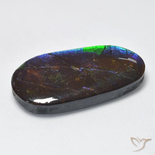 Ammolite Multicolore naturale da 16.63 ct, Taglio a fantasia, Opaco