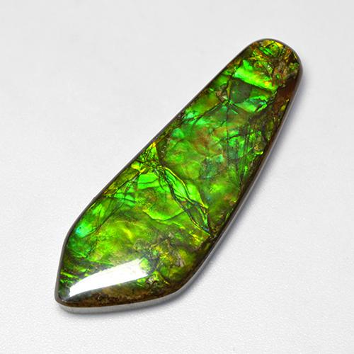 Ammolite naturale multicolore da 25,04 ct, forma fantasia, opaco