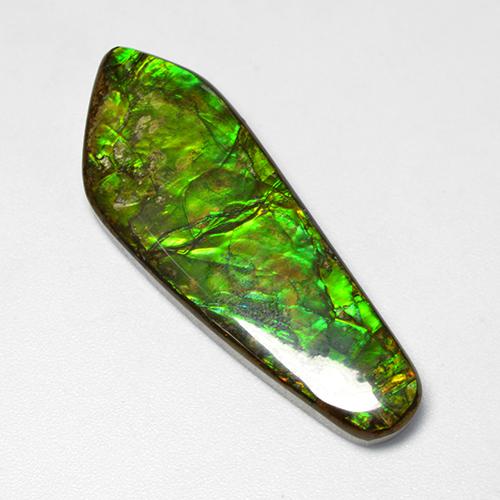Ammolite naturale multicolore da 25,04 ct, forma fantasia, opaco