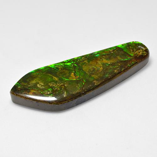 Ammolite naturale multicolore da 25,04 ct, forma fantasia, opaco