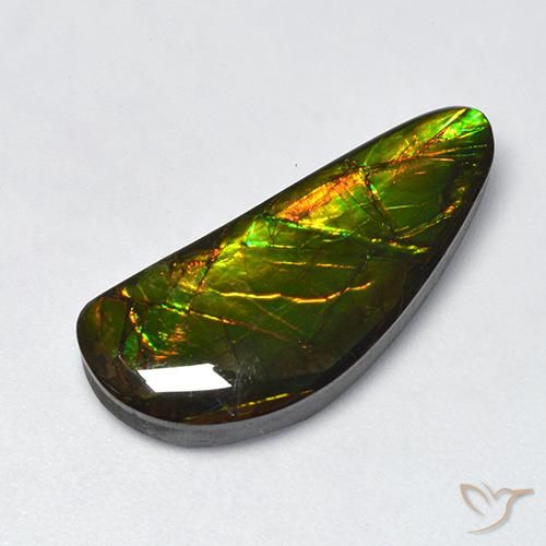 10.60ct Naturale Multicolore Ammolite, Taglio a fantasia, Opaco