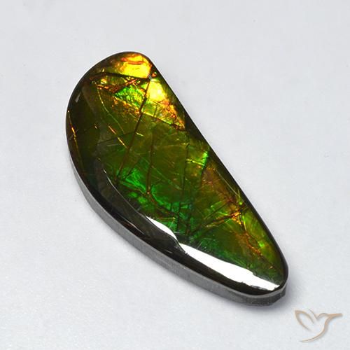 Ammolite Multicolore naturale da 10.60 ct, Taglio a fantasia, Opaco