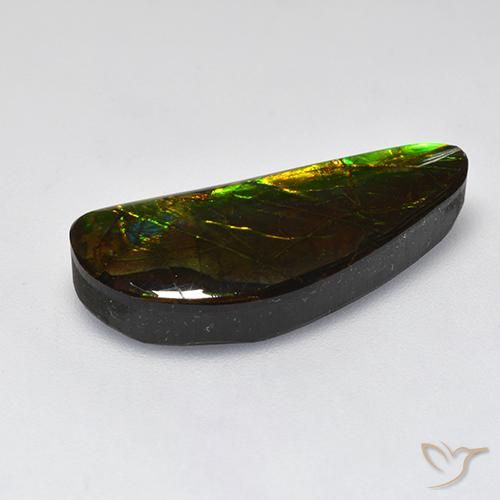 Ammolite Multicolore naturale da 10.60 ct, Taglio a fantasia, Opaco