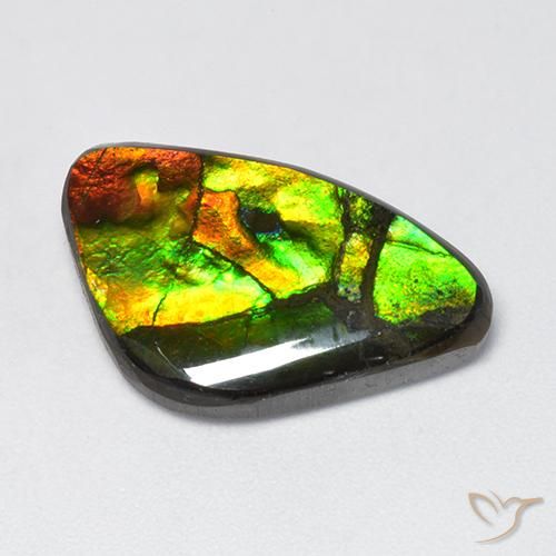11.50ct Naturale Multicolore Ammolite, Taglio a fantasia, Opaco