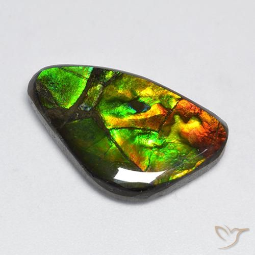 Ammolite Multicolore naturale da 11.50 ct, Taglio a fantasia, Opaco